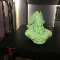 Picture of print of Pirate Ork Captain Bust This print has been uploaded by ArcLight3d
