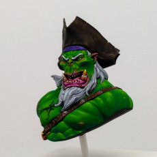 Picture of print of Pirate Ork Captain Bust This print has been uploaded by Daniel Vázquez