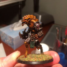 Picture of print of Marauder Gnoll