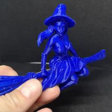 Picture of print of Witch on a broom This print has been uploaded by Dan-Andrei Marinescu