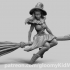 Witch on a broom image
