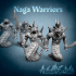 Naga Warroirs image