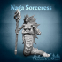 Naga Sorceress image
