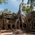 Temple Ruins - Cambodia image