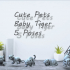 Baby Tiger cute pets image
