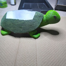 Picture of print of Turtle Planter
