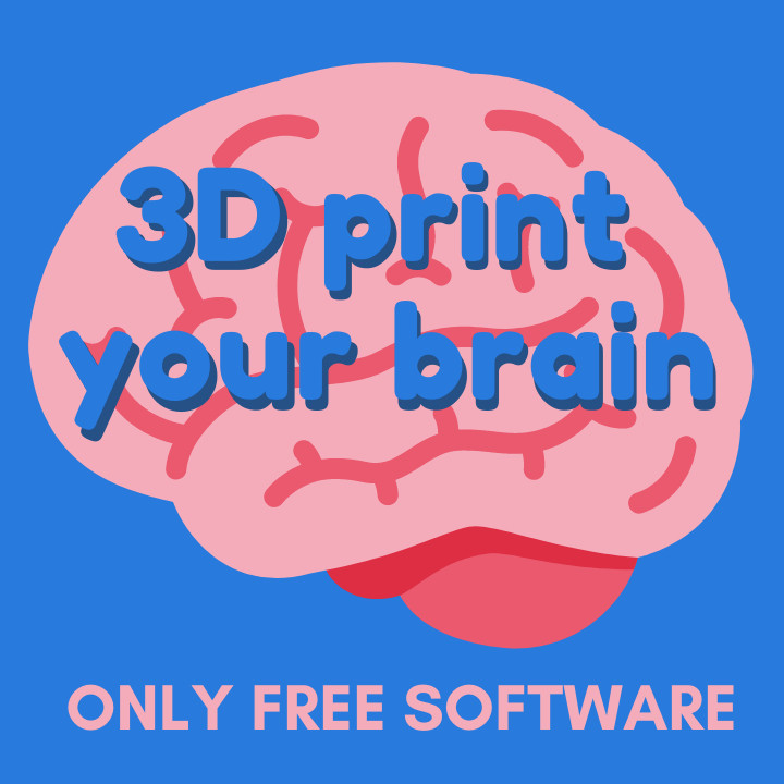 How to 3D print Your Brain