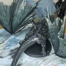 Picture of print of Black Dragon