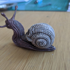Picture of print of Skull snail
