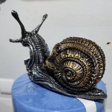 Picture of print of Skull snail