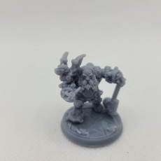 Picture of print of Gargy Dragon Engineer