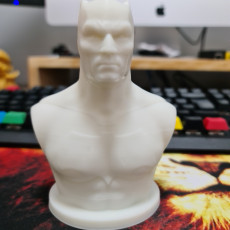 Picture of print of Batman Bust