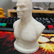 Picture of print of Batman Bust