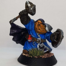 Picture of print of Dwarf Cleric Miniature - pre-supported