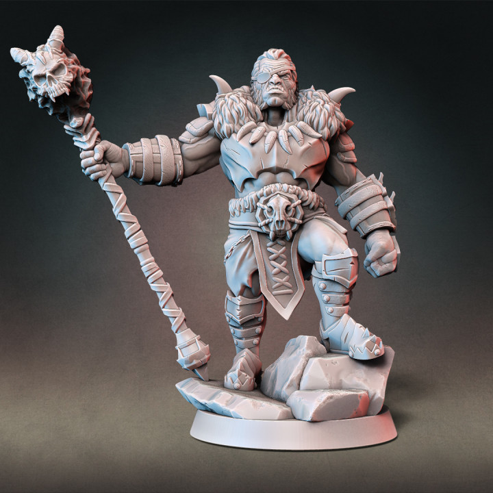 $7.00Half-orc Barbarian Type B w/ Modular Hands + 4 Weapons (Presupported)