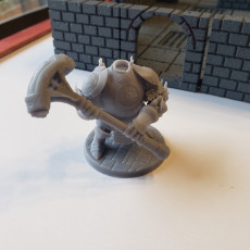 Picture of print of Dungeon Set, chapter II: Animated Objects This print has been uploaded by Taylor Tarzwell
