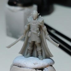 Picture of print of Evendil Gennala - Elf - 32mm - DnD -