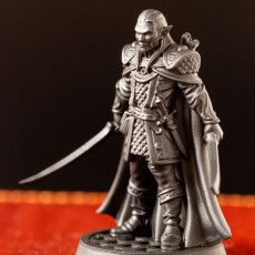 Picture of print of Evendil Gennala - Elf - 32mm - DnD -