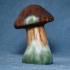 Grumpy Mushroom image