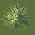 Tabletop plant: Sentinel (Alien Vegetation 20) image