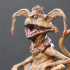Salacious Crumb- from Return Of The Jedi image