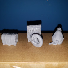 Picture of print of Mimic