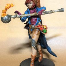 Picture of print of Adventurers Guild RPG Character Bundle (32 Minis)