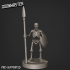 Skeleton - Spearman2 image