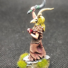 Picture of print of Blight Druid (Presupported Reworked)