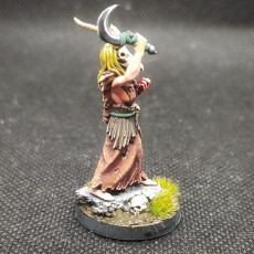 Picture of print of Blight Druid (Presupported Reworked)