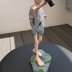 Picture of print of Dobby Statue