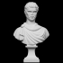 Bust of an Emperor image