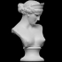 Bust of the Venus de Capua image