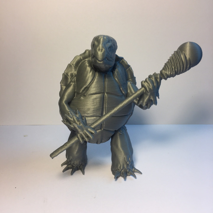 Image of Tortle Wizard for Tabletop RPG Fantasy Games
