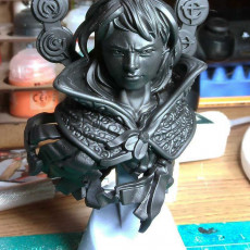 Picture of print of Mistborn Vin Bust