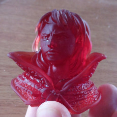Picture of print of Mistborn Vin Bust