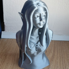 Picture of print of Elven girl bust