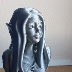 Picture of print of Elven girl bust