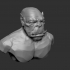 orc bust image