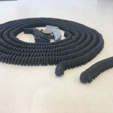 Picture of print of Milli: Print in place, support free,articulated millipede