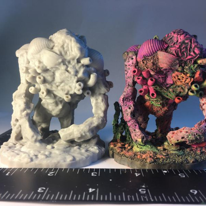 Coral Golem for 28mm Fantasy Tabletop Games and RPGs