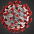 My take on Corona Virus Coronavirus Covid-19 NO SUPPORTS (Assembly Required) image