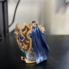 Picture of print of Elf paladin