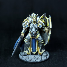Picture of print of Elf paladin