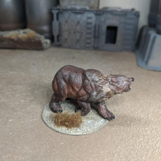 Picture of print of Bear - 32mm scale miniature This print has been uploaded by Ryan Rabideau