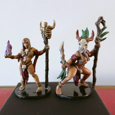 Picture of print of Blood Priestesses - 3 Units (AMAZONS! Kickstarter)