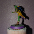 Female RPG Monk - Human, Elf, Half Orc and Tiefling print image