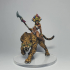 Kaata, Princess on Panther (AMAZONS! Kickstarter) image