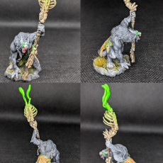 Picture of print of Werewolf Shaman