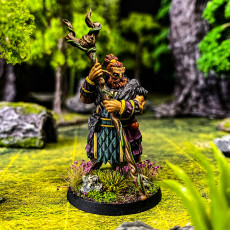 Picture of print of Firbolg druid support ready